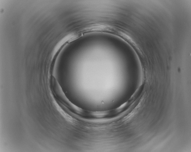 X0000073731426200608031318