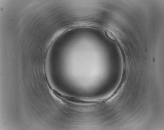 X0000073731433200608031318