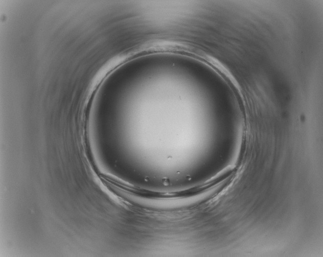 X0000073731437200608031318