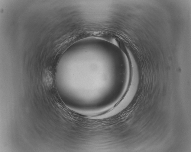 X0000073731442200608031318
