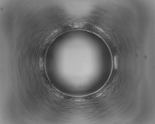 X0000073731443200608031318