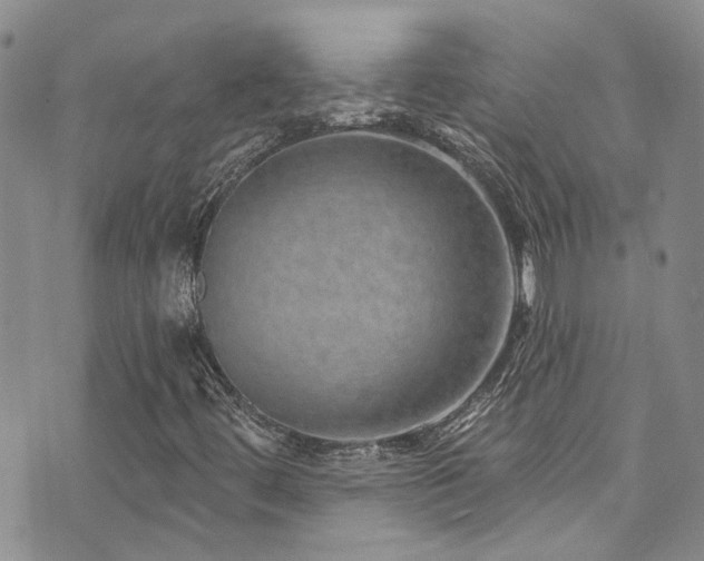 X0000073731444200608031318