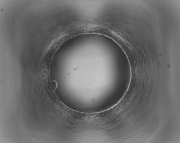 X0000073731447200608031318