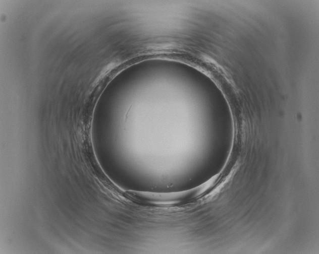 X0000073731449200608031318