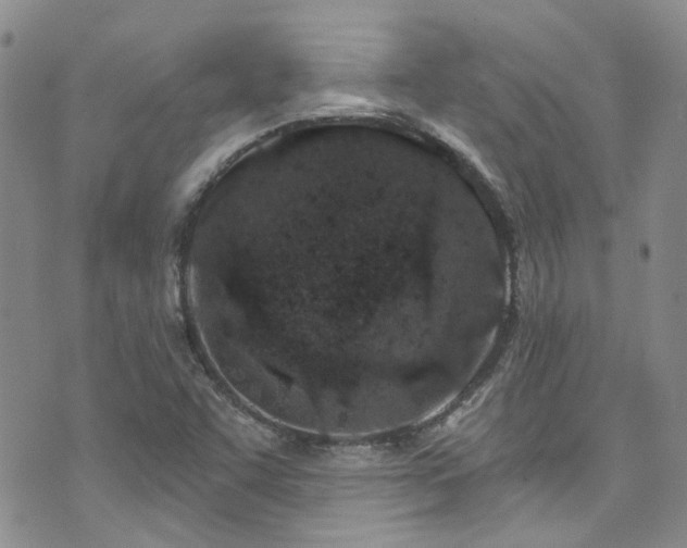 X0000073731455200608031317