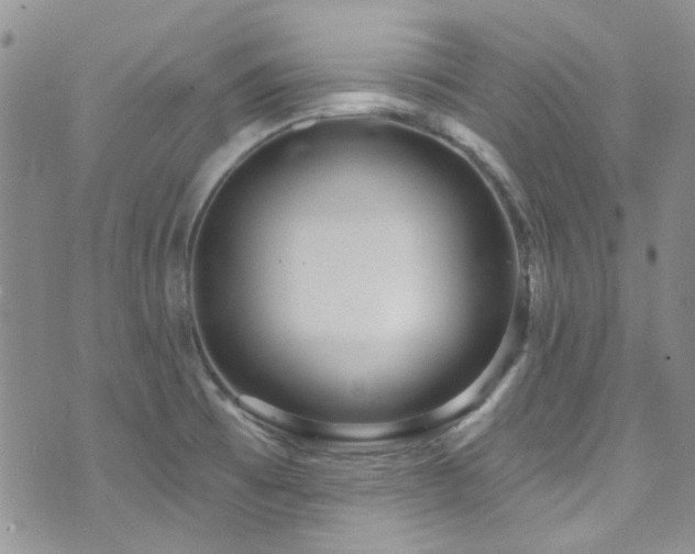 X0000073731473200608031317