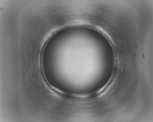 X0000073731477200608031317