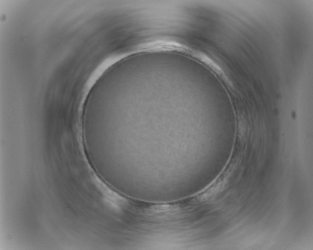 X0000073731478200608031317