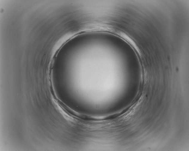 X0000073731485200608031317