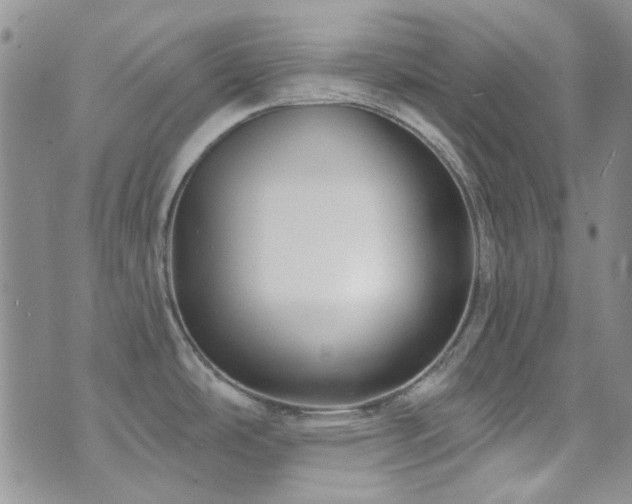 X0000073731486200608031317