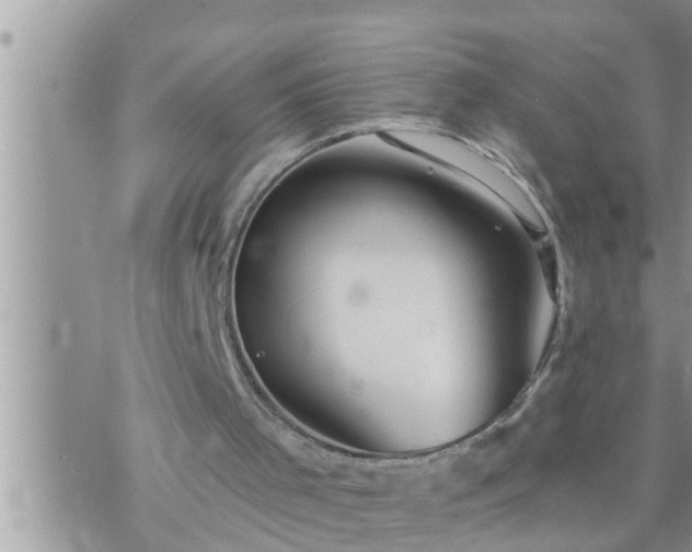 X0000073730001200608101941