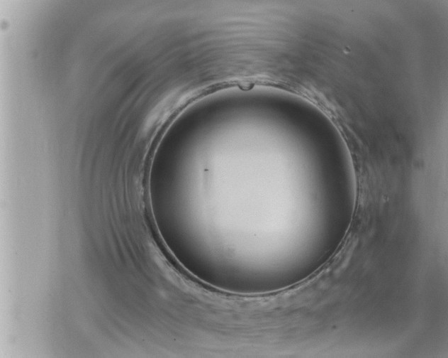 X0000073730002200608101941