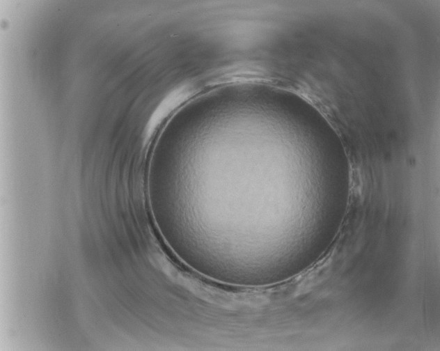 X0000073730004200608101941