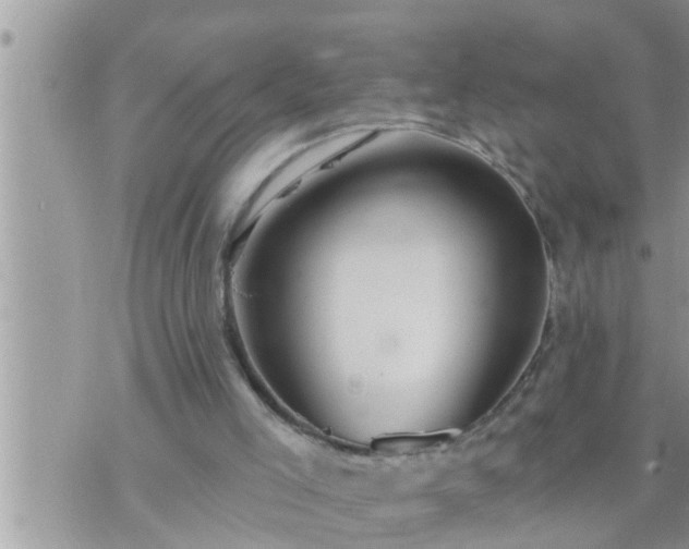 X0000073730005200608101941