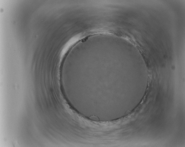 X0000073730006200608101941