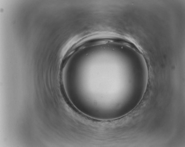 X0000073730007200608101941