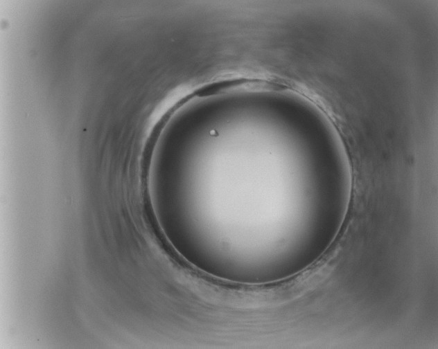 X0000073730008200608101941