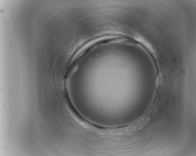 X0000073730009200608101941