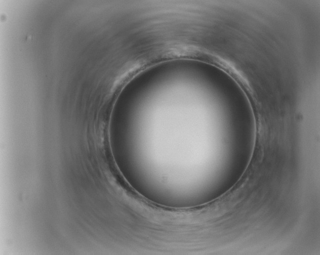 X0000073730010200608101941