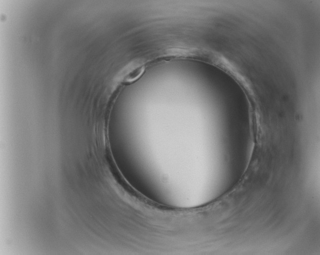 X0000073730011200608101941