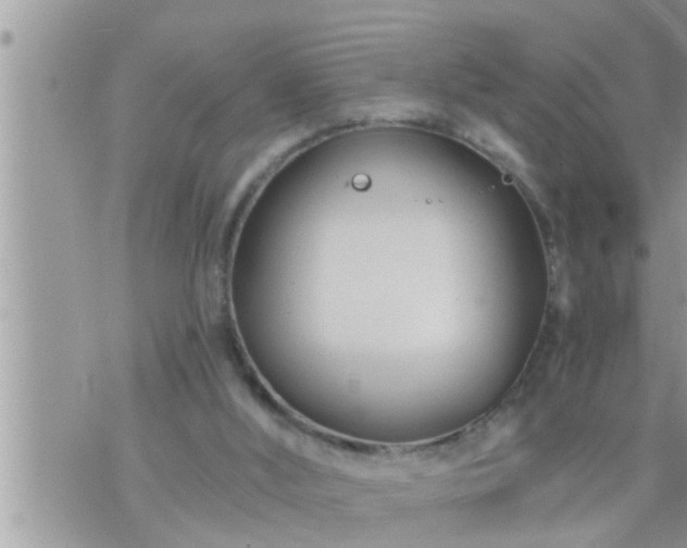 X0000073730012200608101941