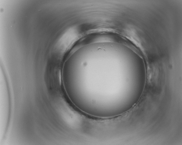 X0000073730013200608101941