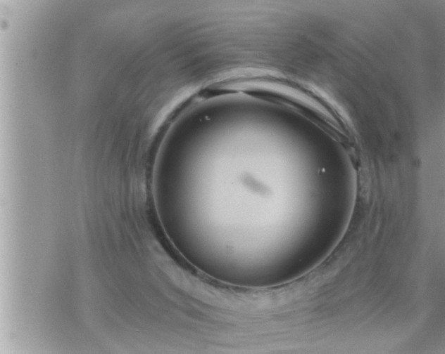 X0000073730015200608101941