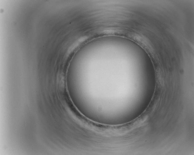 X0000073730016200608101941