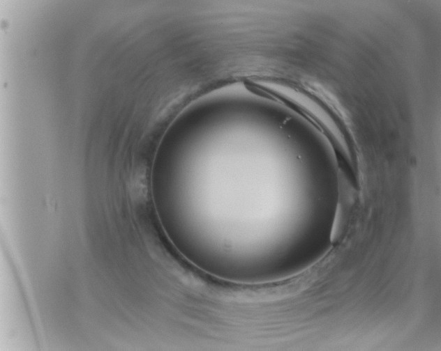 X0000073730017200608101941