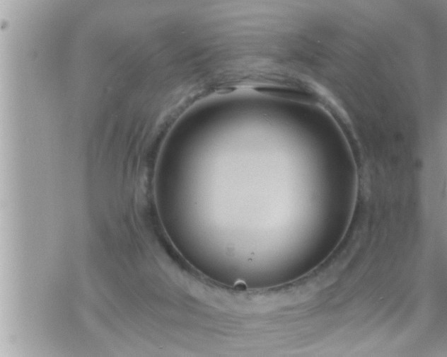 X0000073730018200608101941