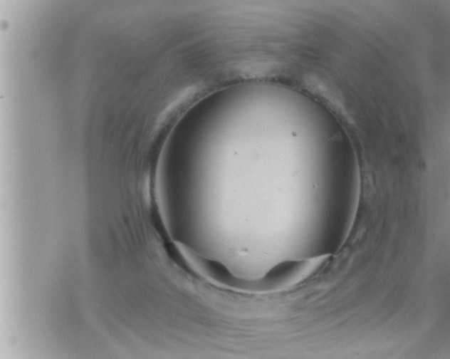 X0000073730019200608101941