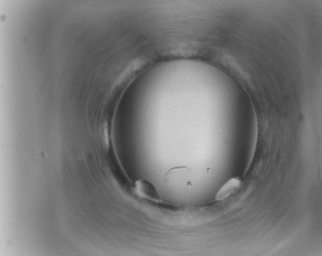 X0000073730020200608101941