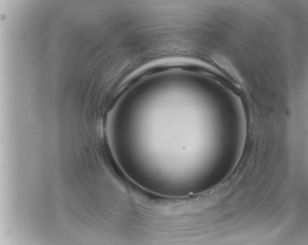 X0000073730021200608101941