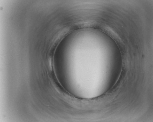 X0000073730022200608101941