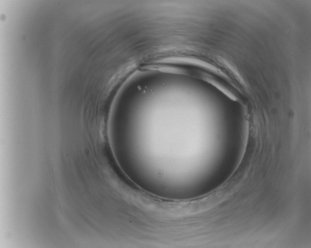 X0000073730023200608101941