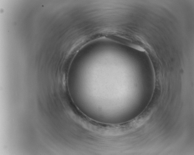 X0000073730024200608101941