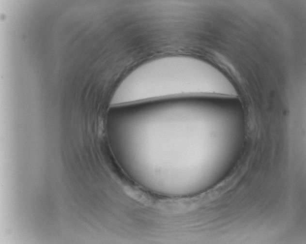 X0000073730025200608101941