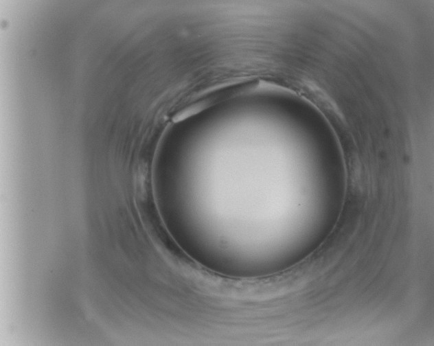 X0000073730026200608101941