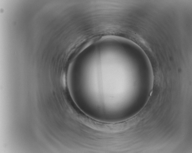 X0000073730027200608101941