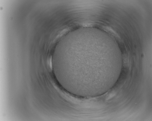 X0000073730028200608101941