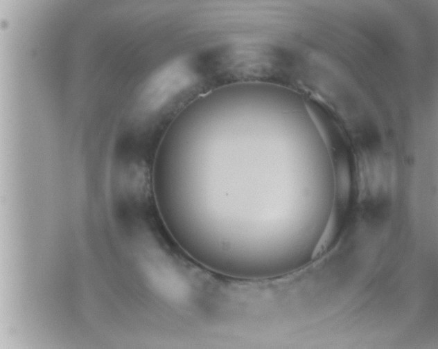 X0000073730029200608101941