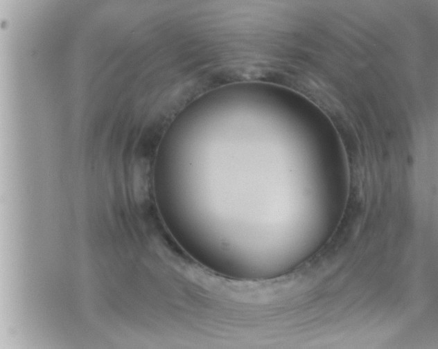 X0000073730030200608101941