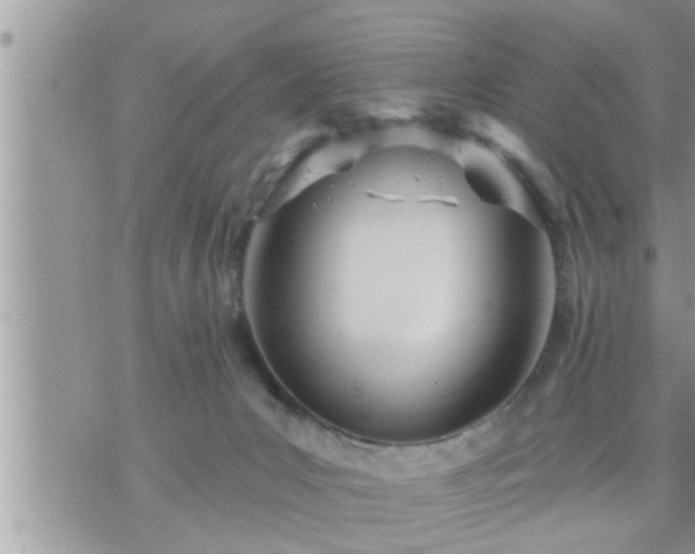 X0000073730031200608101941