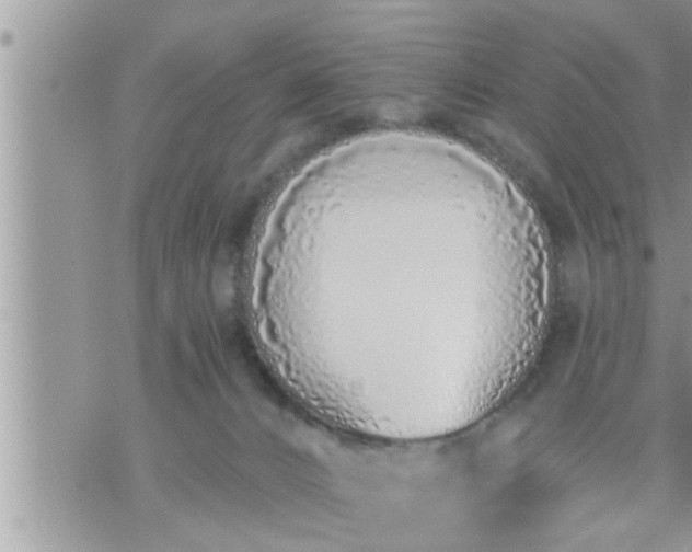 X0000073730032200608101941