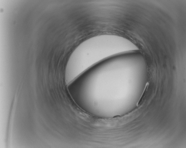 X0000073730033200608101941