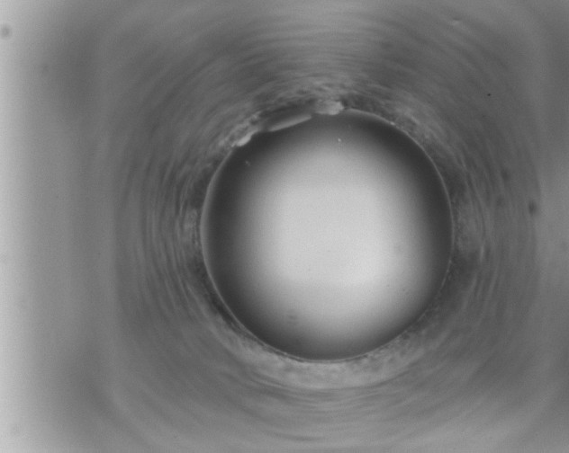 X0000073730034200608101941