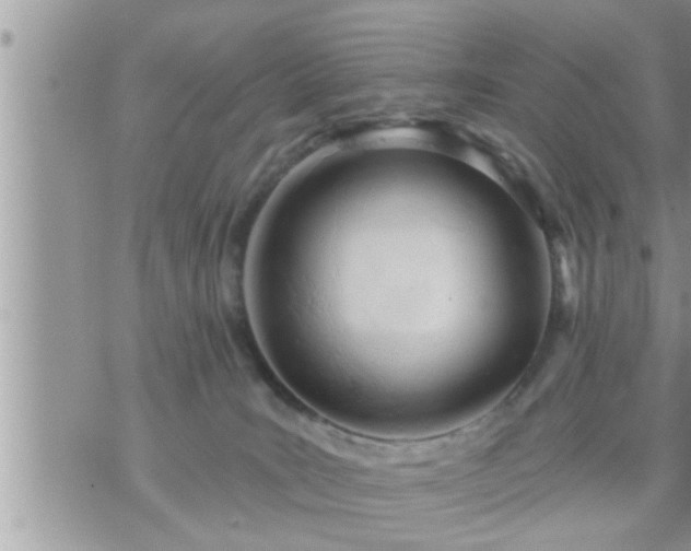 X0000073730035200608101941