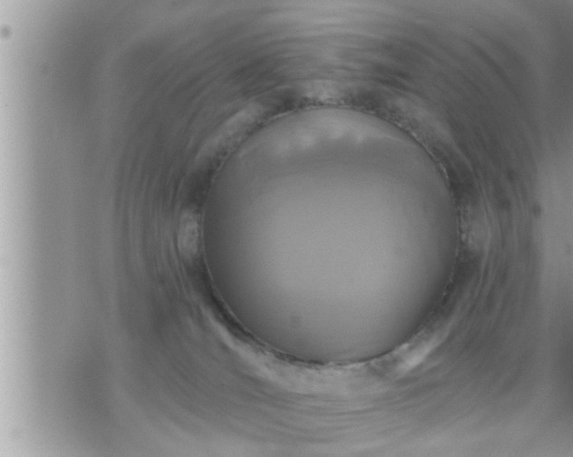 X0000073730036200608101941