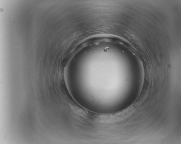 X0000073730037200608101941