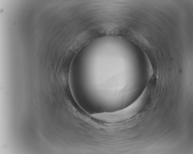 X0000073730039200608101941